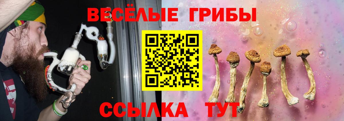 Псилоцибиновые грибы GOLDEN TEACHER  Галлюциногенные грибы ЛСД  Новочебоксарск  Вход с VPN 